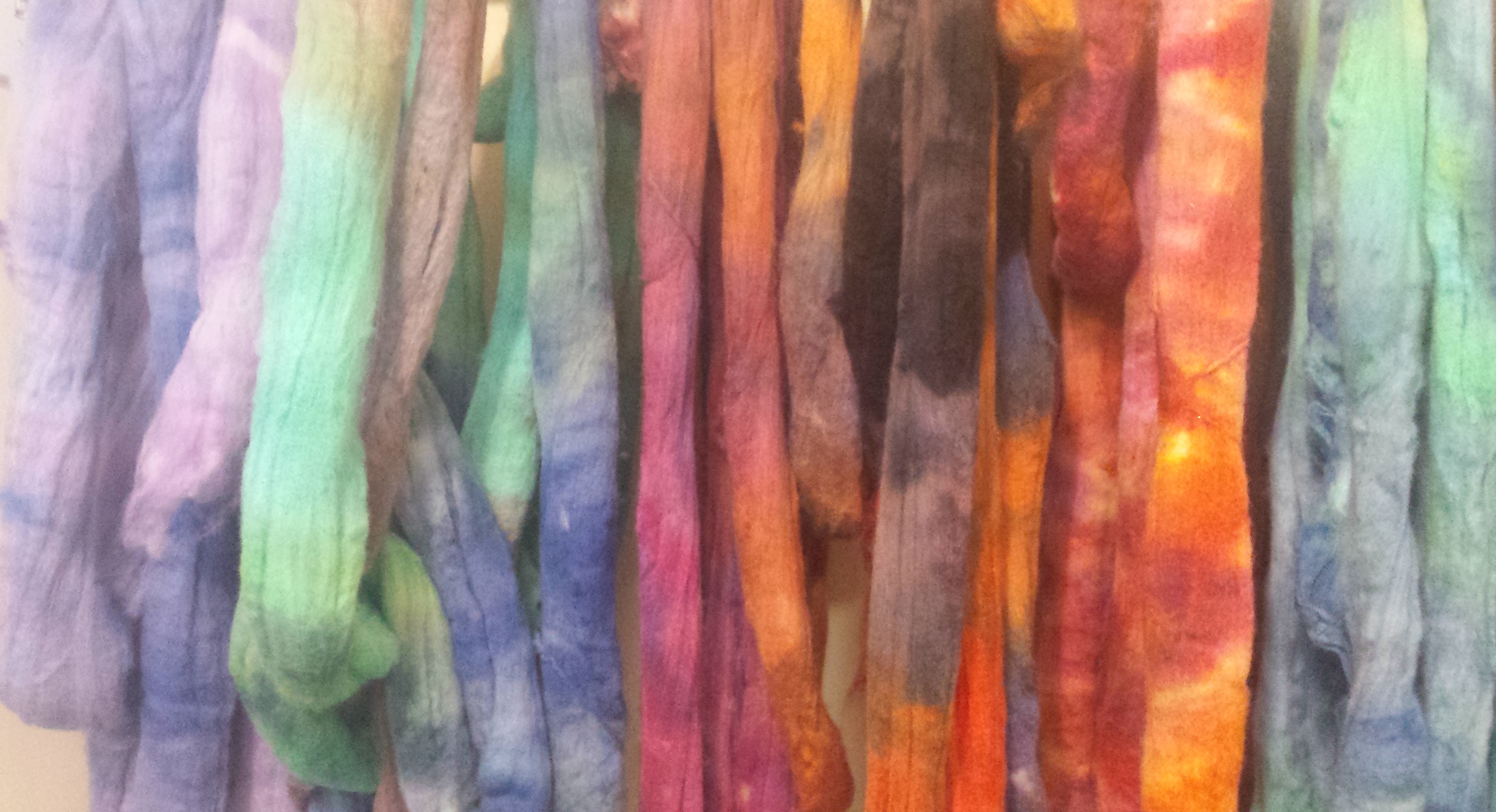 Polwarth Combed Top by Bewitching Fibers