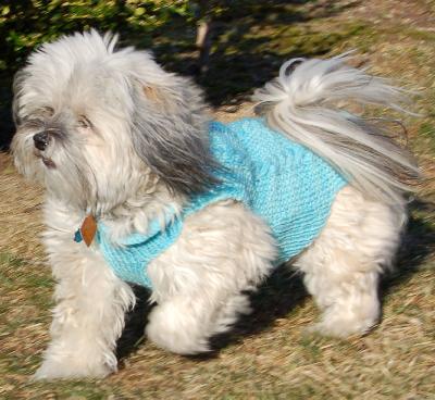 Happy Puppy Sweater Kit