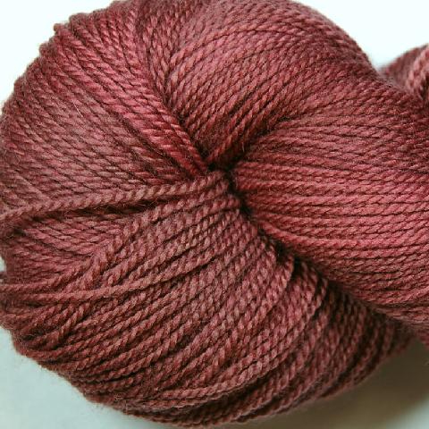 Ivy Brambles SockScene Sock Yarn - 117 Grand Canyon